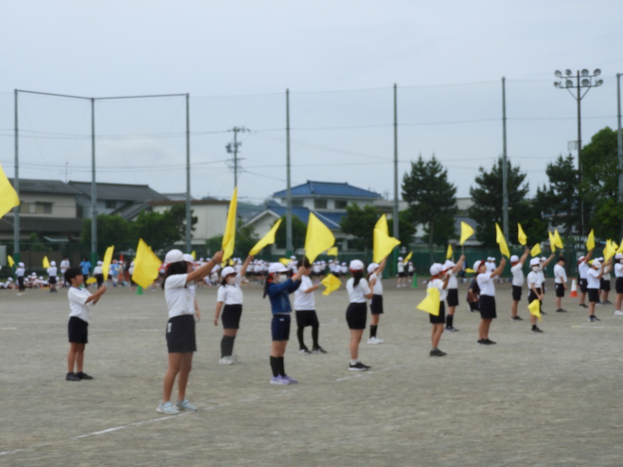 DSCN5684.jpg