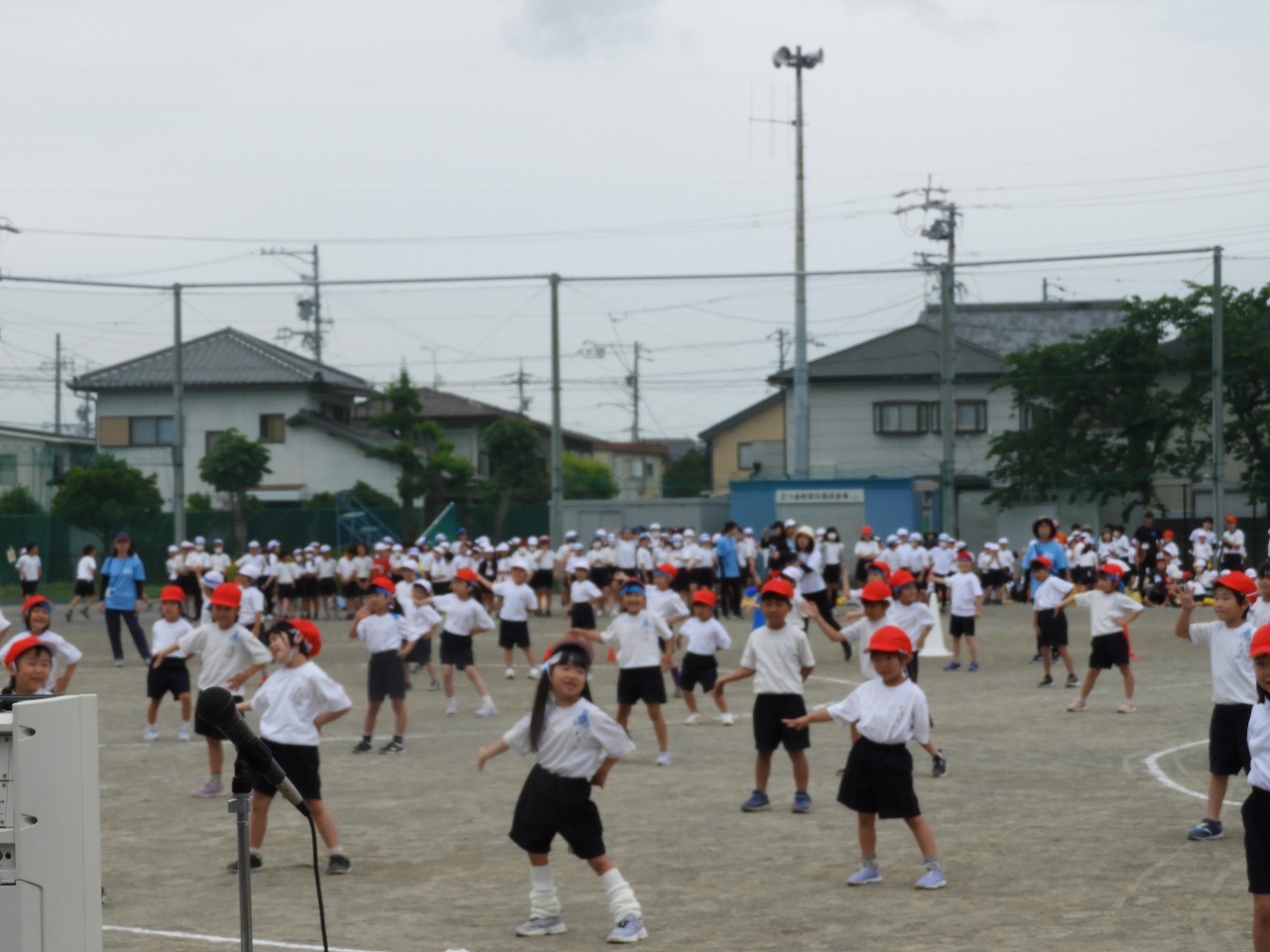 DSCN5690.jpg