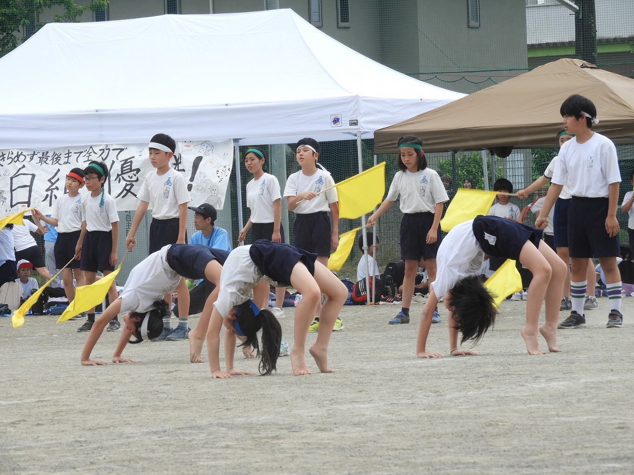 DSCN5929.jpg