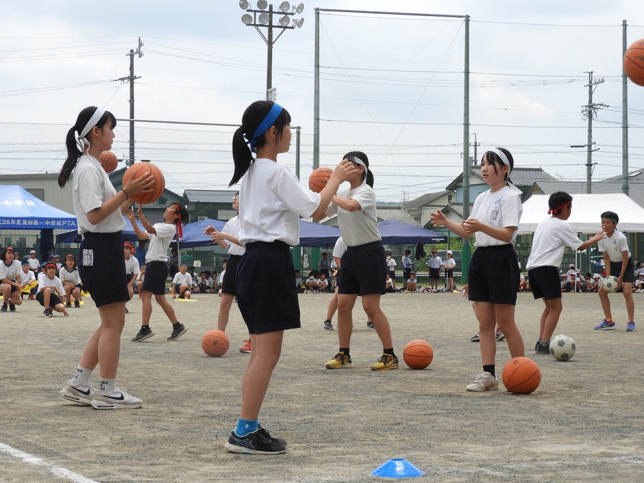 DSCN5934.jpg