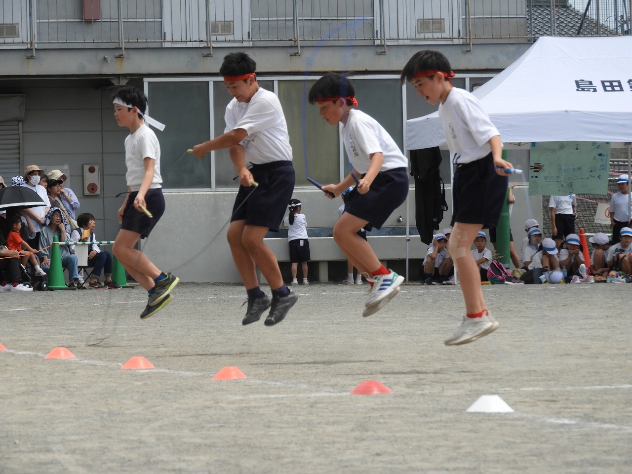 DSCN5938.jpg