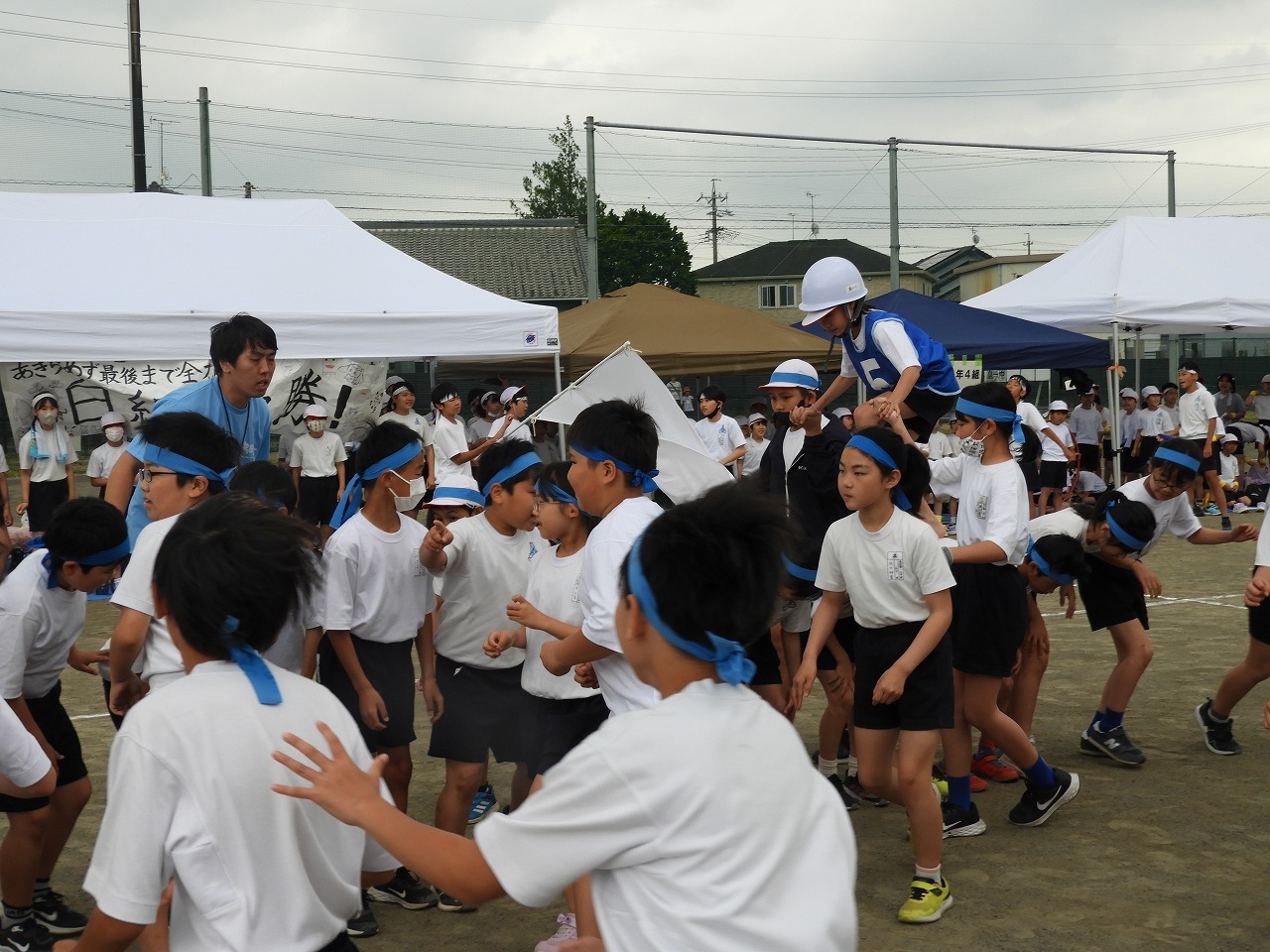 DSCN5795.jpg