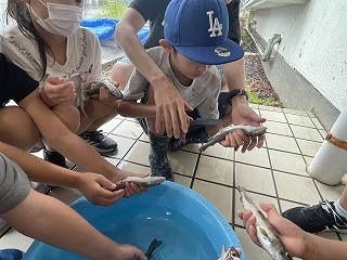 IMG_2119.jpg