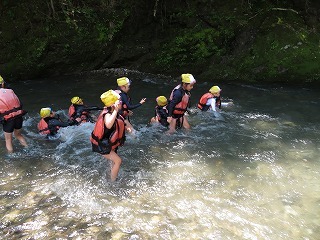 IMG_3187.jpg