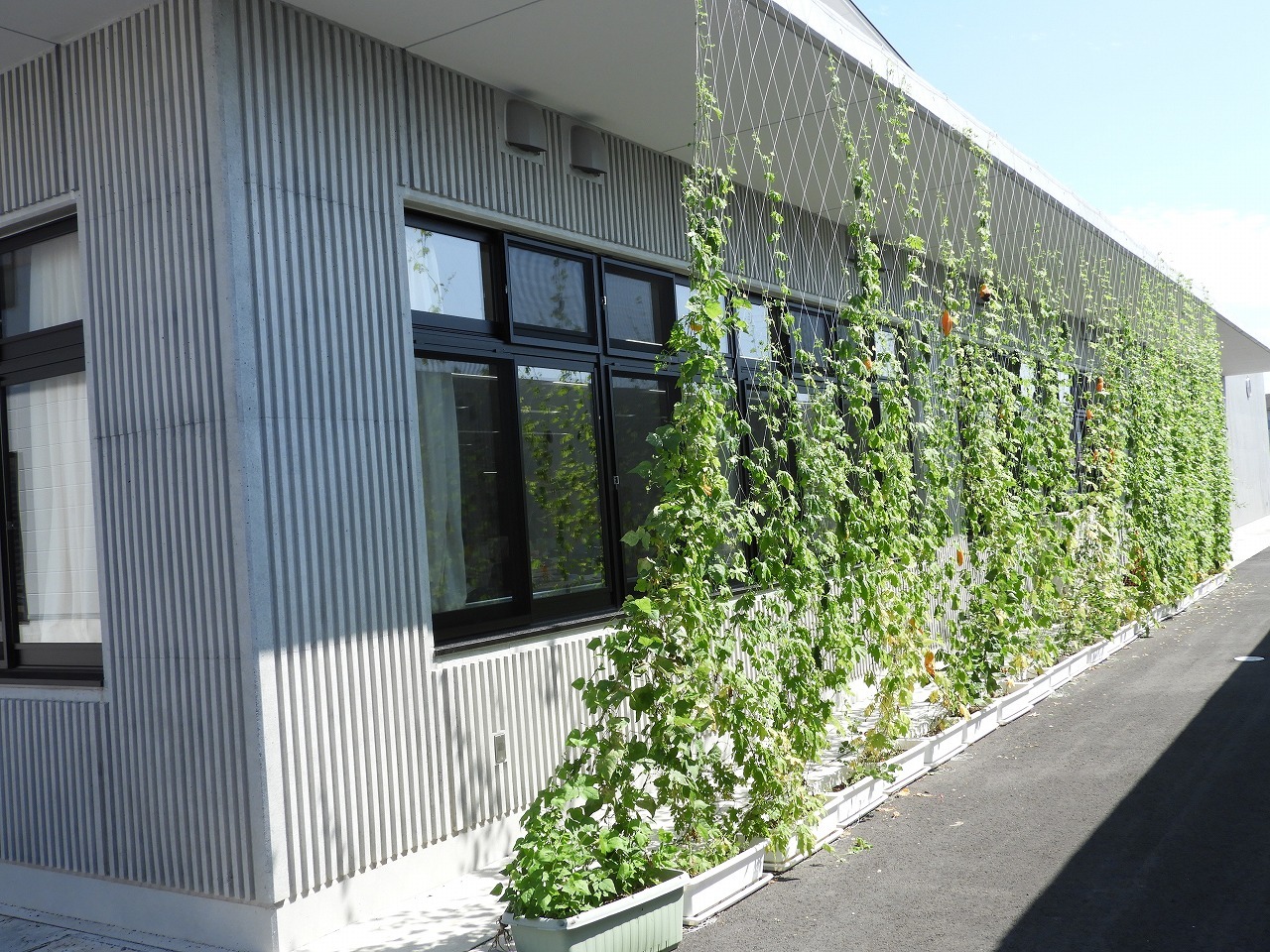 DSCN6405.jpg