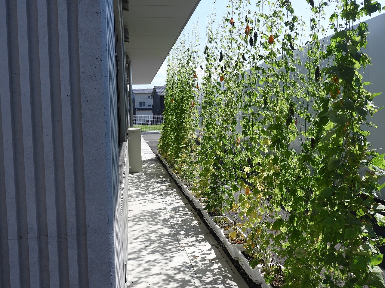 DSCN6408.jpg