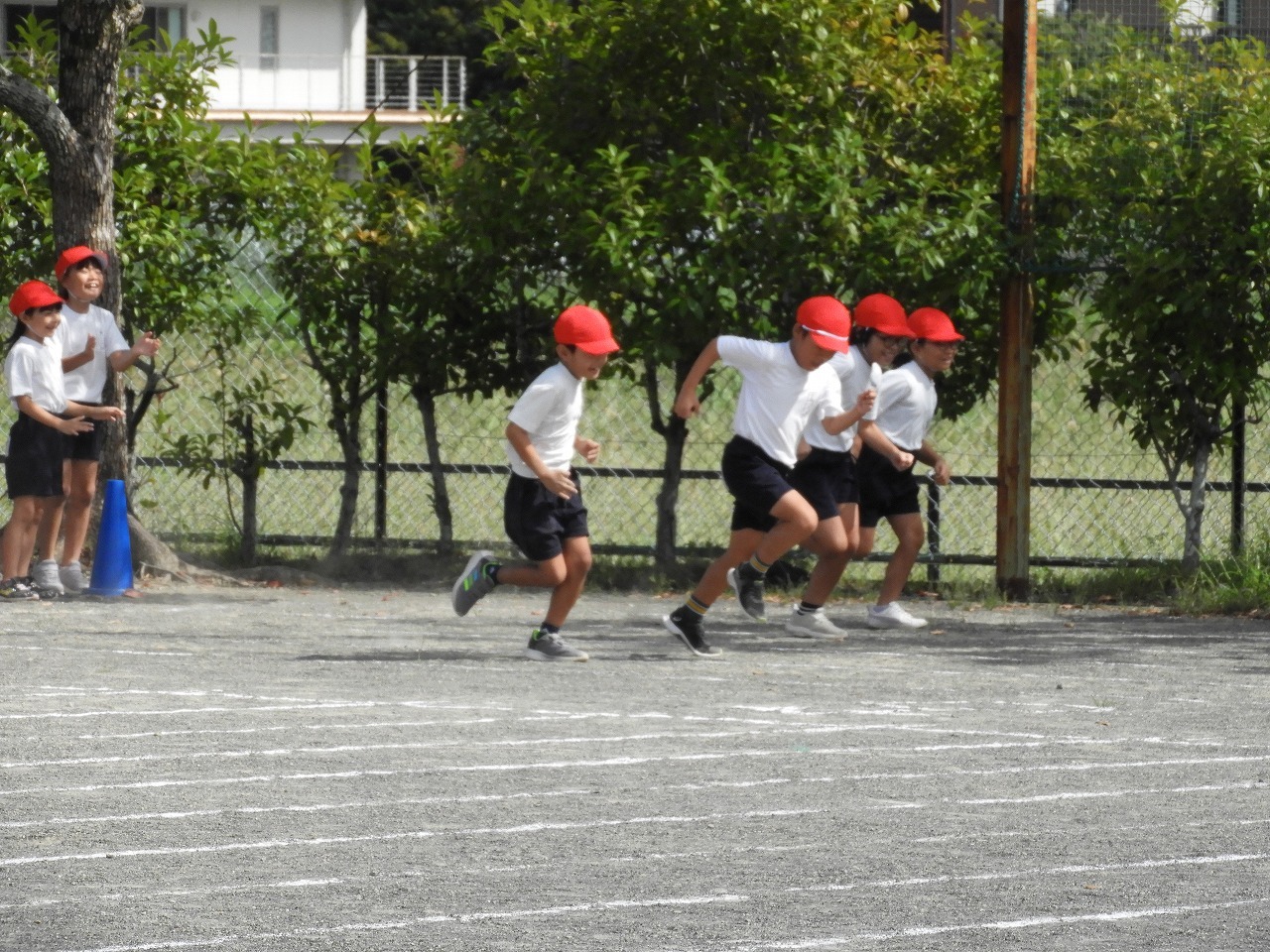 DSCN6516.jpg