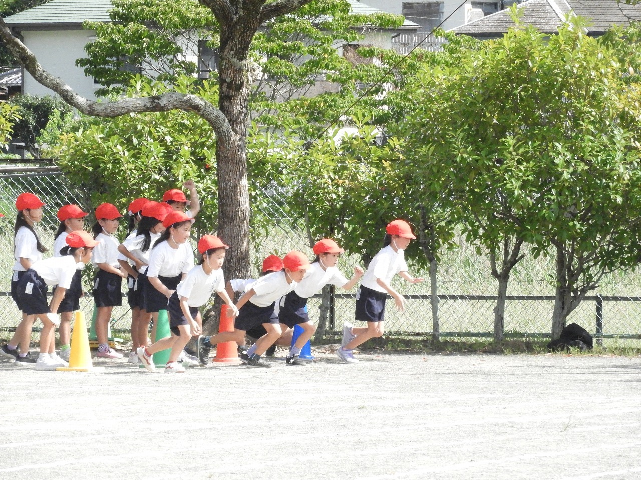 DSCN6520.jpg