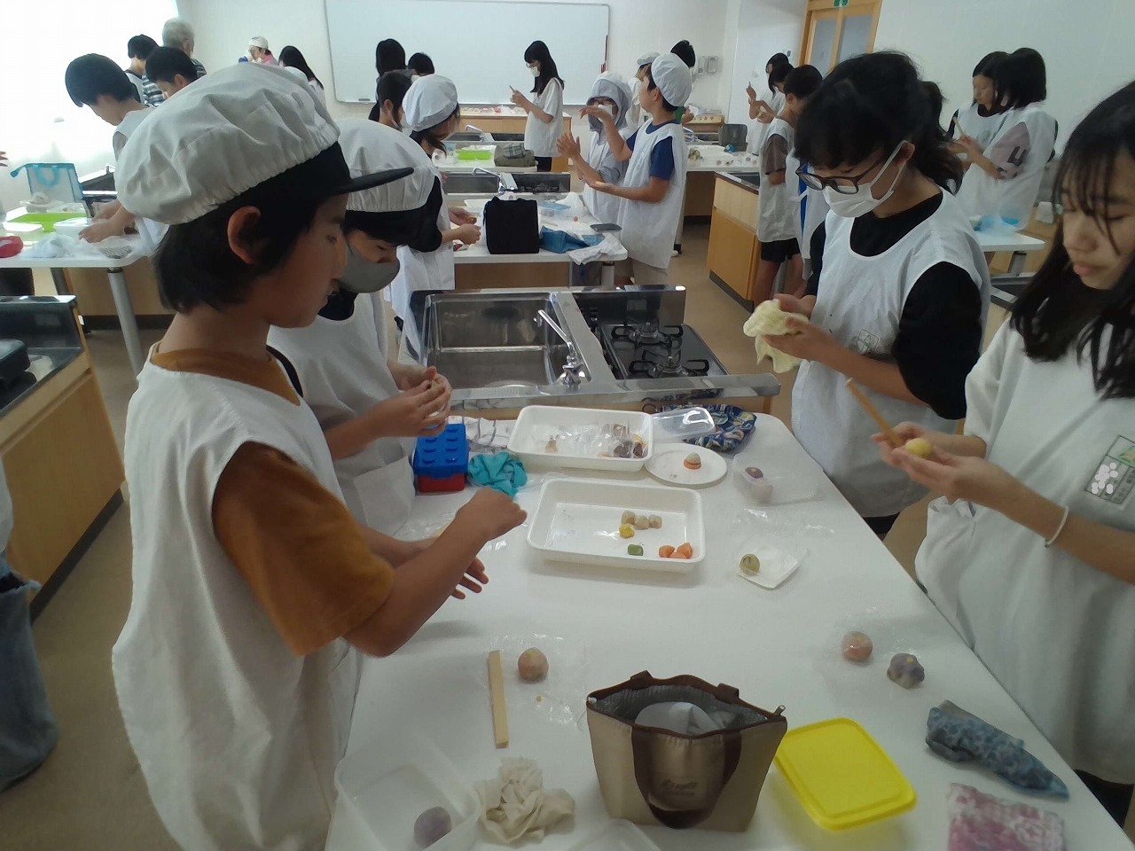 IMG_20241010_131054.jpg
