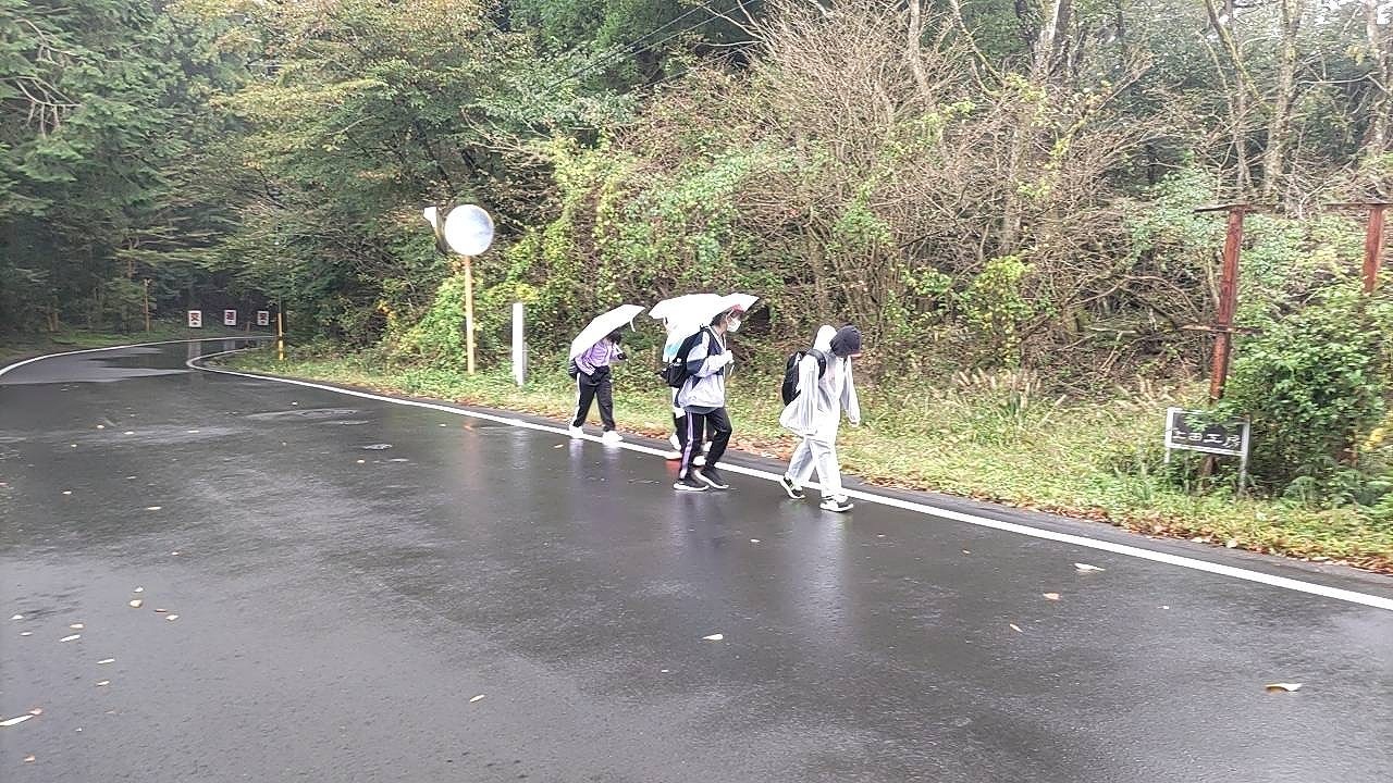 歩く姿.jpg