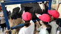 IMG_5800.jpeg