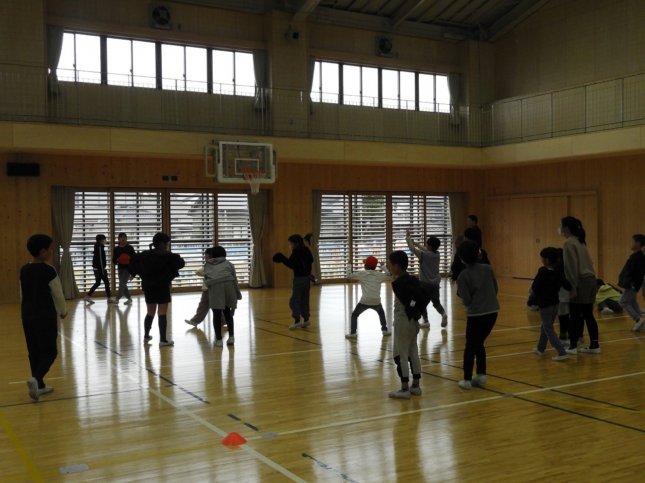 DSCN6798.jpg