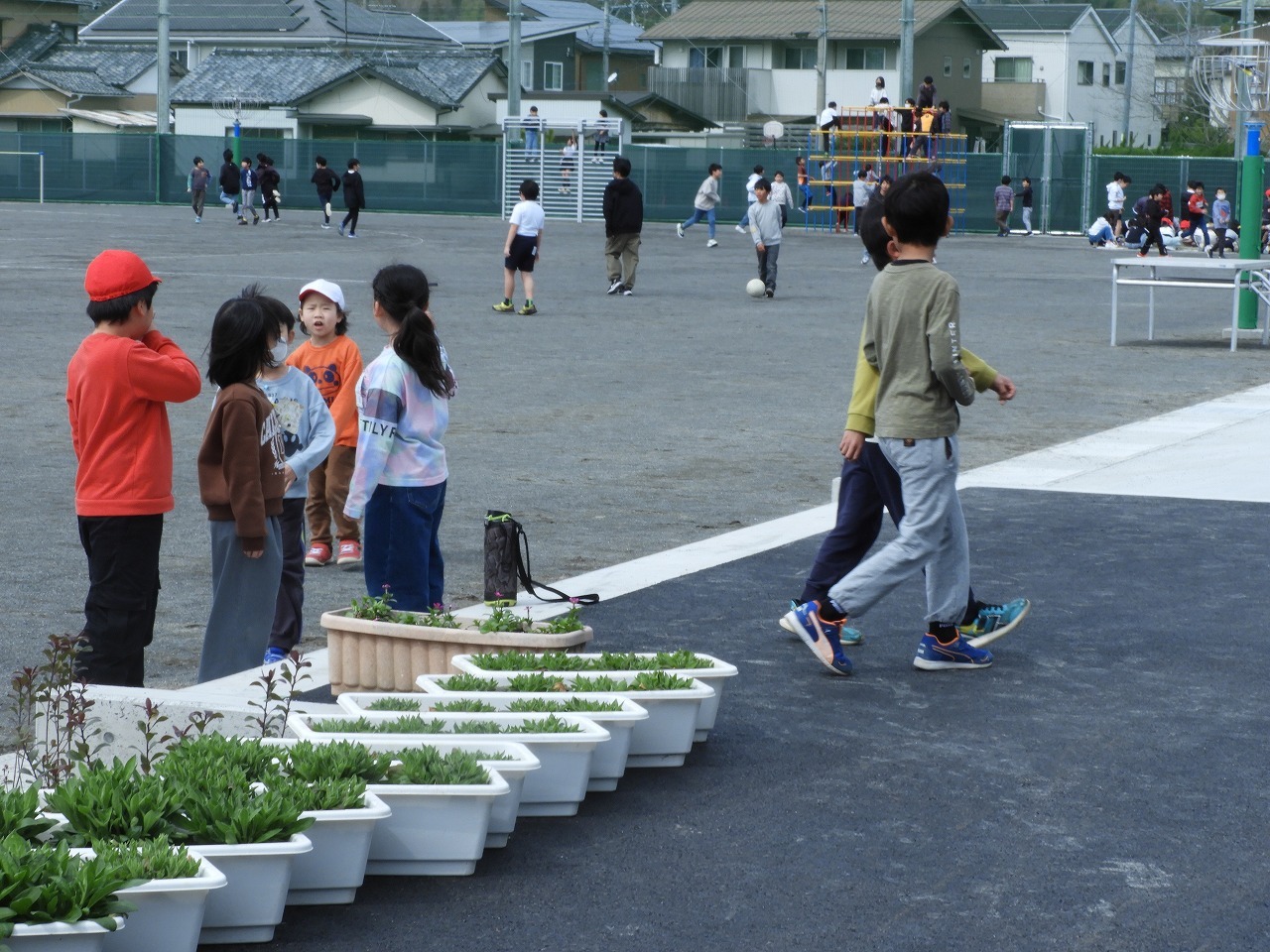 DSCN7519.jpg