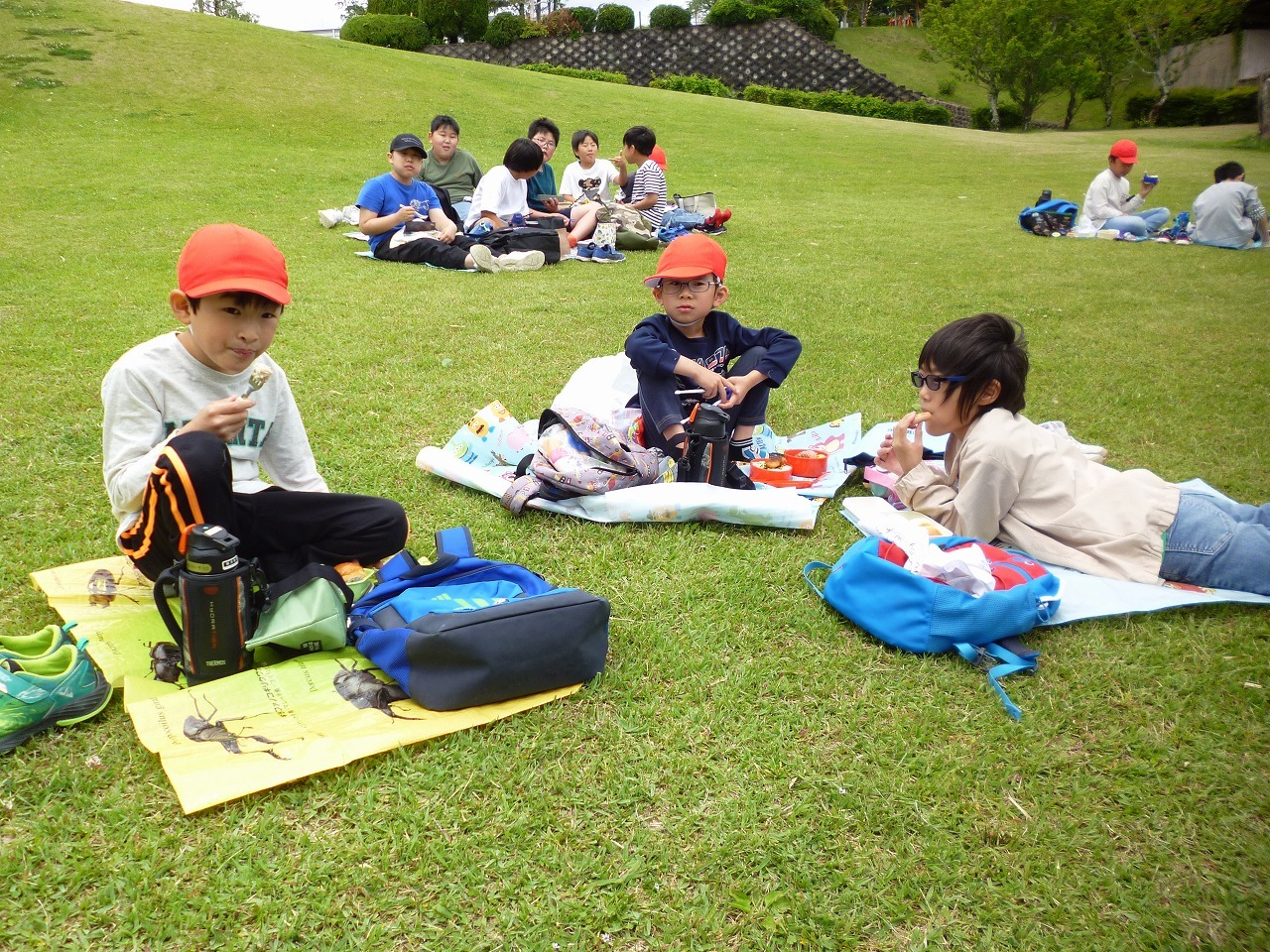 P1050781.jpg