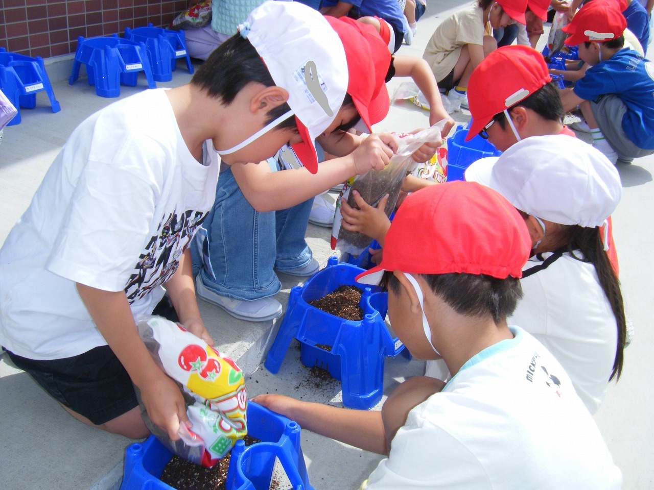 DSCF2449.jpg