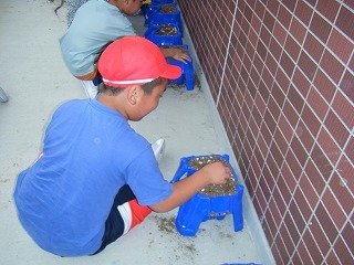 DSCF2455.jpg