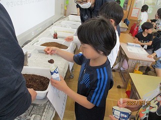 IMG_0773.jpg