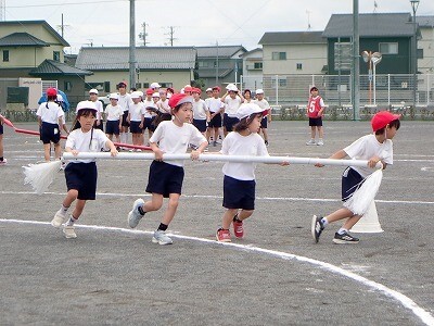 Q5220066.jpg