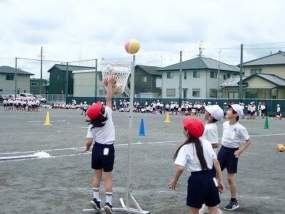 Q5220081.jpg