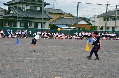 DSC_4181.jpg