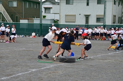 DSC_4185.jpg
