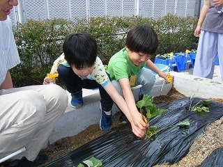 DSCF2548.jpg