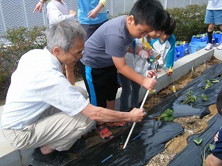 DSCF2551.jpg