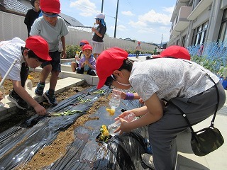 IMG_1949.jpg