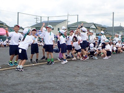 Q6010270.jpg