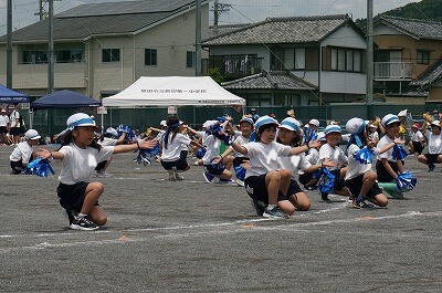 DSC01342.jpg