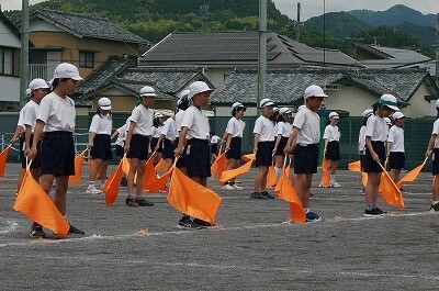 DSC01356.jpg