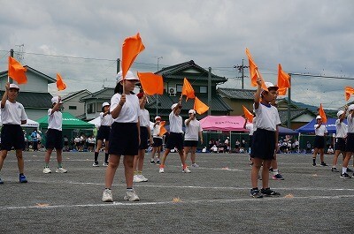 DSC01362.jpg