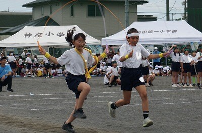 DSC01402.jpg
