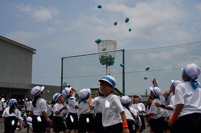 DSC01422.jpg