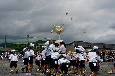 DSC01425.jpg