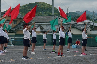 DSC01454.jpg