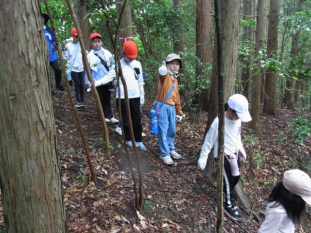 R9240989.jpg