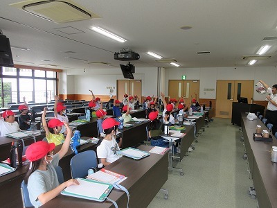 IMG_2917.jpg