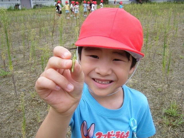 DSCF3015.jpg