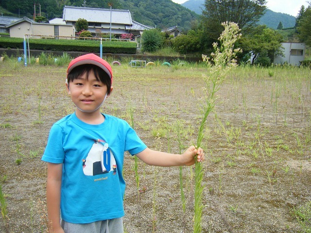 DSCF3016.jpg