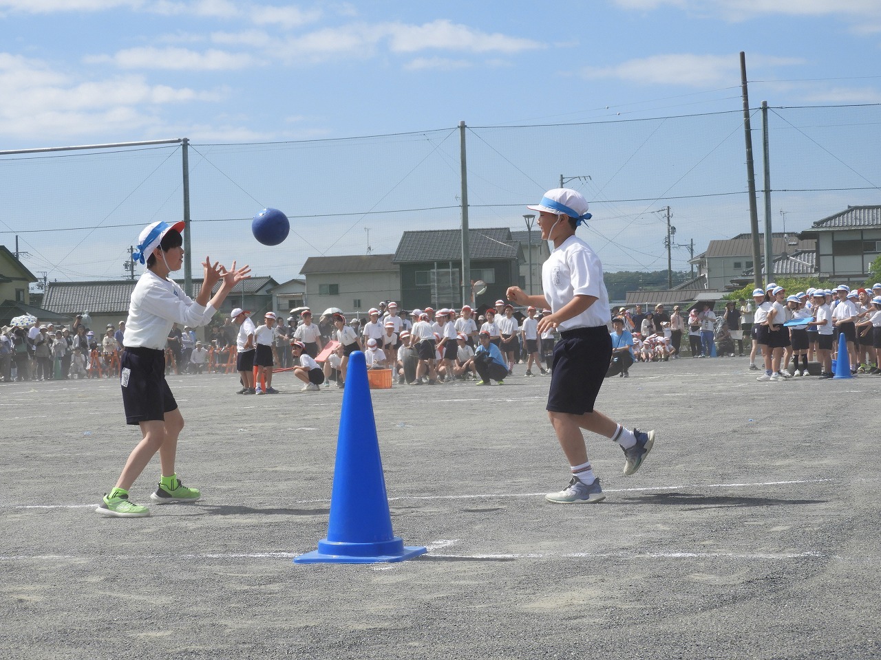 DSCN9556.jpg