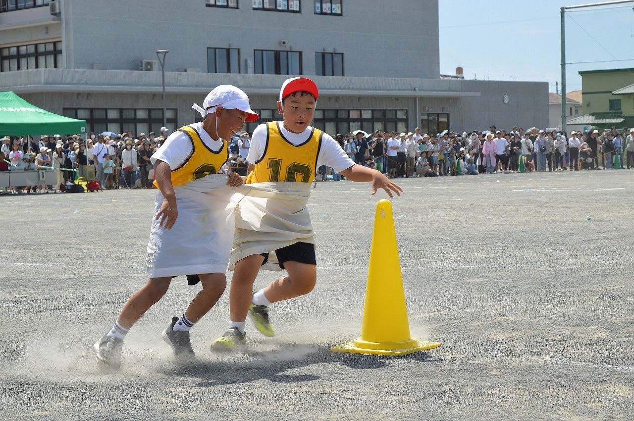 DSC_0336.jpg