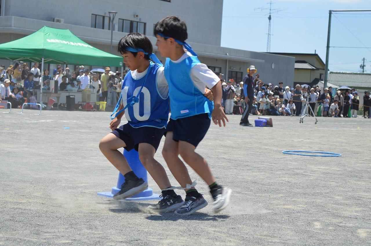DSC_0515.jpg