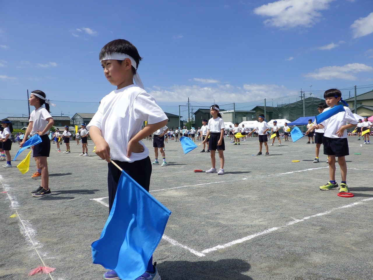 IMGP1462.jpg